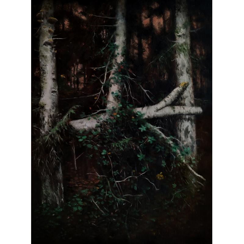 Forêt trouvée