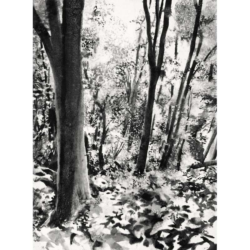 Le souffle du sol 9 Forêt du HWK 